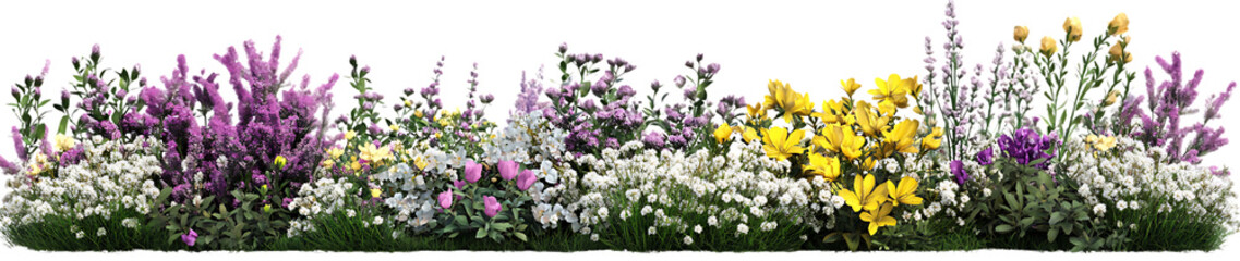 Obraz premium Vibrant spring wildflower border isolated on black