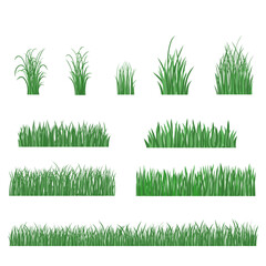 Set of Realistic Green Grass Vector Illustration in Different Shapes and Styles for Landscape Design