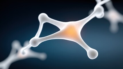 Neural Network Structure and Functions