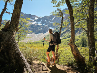 Female hiker gazing at snowy mountain from forest trail
