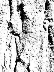 Abstract grunge black and white distressed texture overlay effect design element, noise background