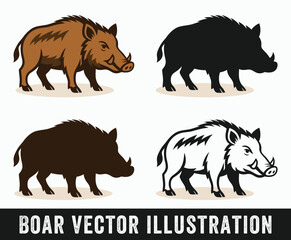 Boar Vector Illustration, Wild Pig Clipart