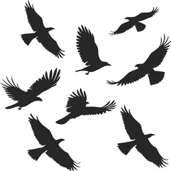 Silhouette of flying birds 