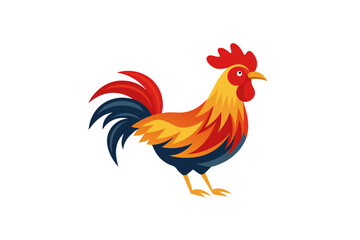 A cock design vector