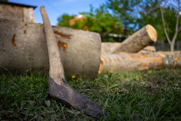 Old, vintage logging tool with wood handle used for rolling the big logs in forestry.