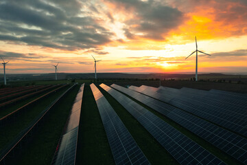 Green energy reduces pollution and keeps the environment clean and sustainable.
Wind turbines and...