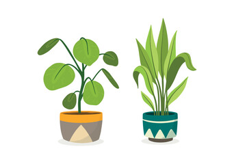 Set Hand drawn houseplant collection