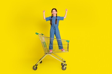 Happy young girl in blue casual outfit standing joyfully on gray shopping cart against bright...