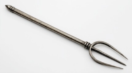 Vintage Two-Pronged Fork with Long Handle on Neutral Background for Rustic Culinary Themes