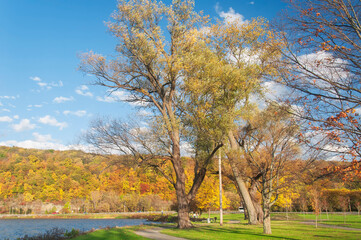 Fototapeta premium clute park on lake Seneca in Autumn