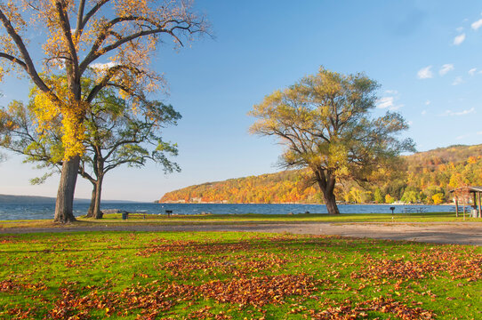 clute park on lake Seneca in Autumn