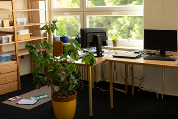 The cozy office setting showcases welldesigned workstations adorned with plants, complemented by ample natural light