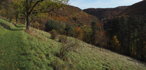 Blick vom Immenberg zum Talschluss, Schwäbische Alb im Herbst