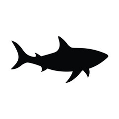 dangerous Shark 