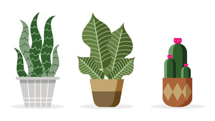 Set Hand drawn houseplant collection