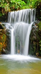 Obraz premium Gentle Waterfall in Lush Green Setting with Soft Sound of Water