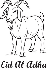vector image of a sheep