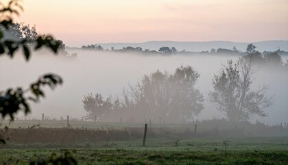 Misty Morning in the Countryside with Soft and Muted Light Effects