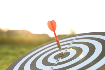 Targeting. Dart board with arrow outdoors, closeup