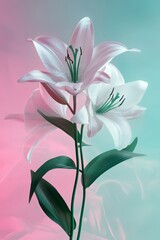 A soothing arrangement of three white flowers with delicate, pastel-hued petals is set against a gentle, glittering background, enhancing the flowers' tranquil and refined appearance