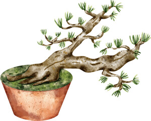 watercolor bonsai