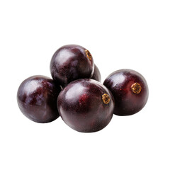 Close-up of four plump, dark-purple berries