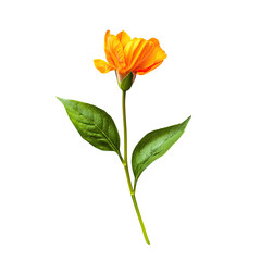 Obraz premium Vibrant orange flower with green leaves on a stem