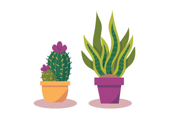 Set Hand drawn houseplant collection