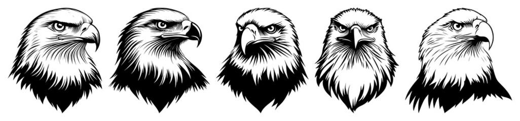 PNG Eagle illustration design black transparent background.