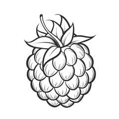 raspberry fruit vector icon on white background
