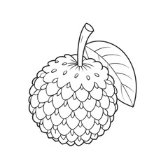 lychee fruit vector icon on white background