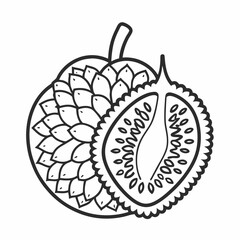 jackfruit fruit vector icon on white background