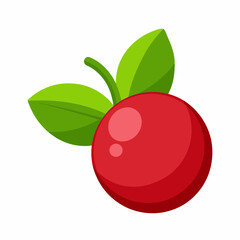cranberry fruit vector icon on white background