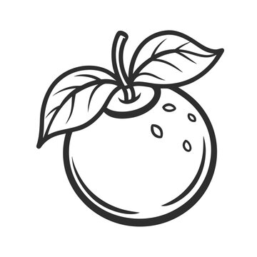 recommend clip art: cranberry fruit vector icon on white background
