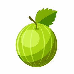 gooseberry fruit vector icon on white background