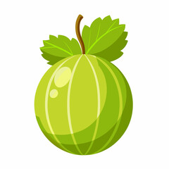 gooseberry fruit vector icon on white background