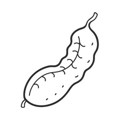 tamarind fruit vector icon on white background