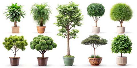 set of trees
