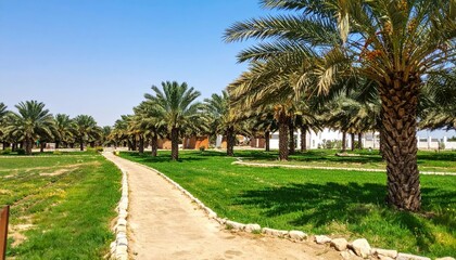 Scenic Bahraini Date Palm Garden with Traditional Farmhouse Pathway