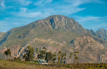 Farmhouse beneath the Langeberge mountains near Barrydale.