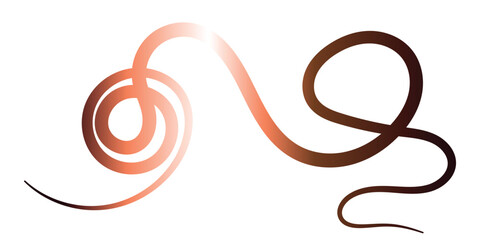 Obraz premium Elegant, Decorative Red Design for Logo or Background. This image features a dynamic, flowing, red design with a gradient effect, perfect for use as a logo, graphic element, or background.