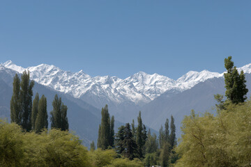 Obraz premium breathtaking view of bright mountain under clear blue sky showcasing its majestic peaks and lush greenery