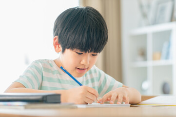 リビングで勉強する男の子 © SkyLine