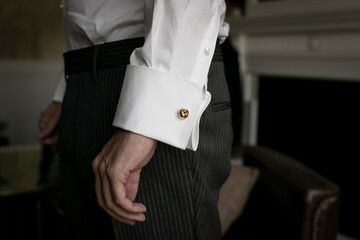 agiotaje, mano, empresario, persona, participación, digno, trabajar, dinero, gemelos, elegancia,...