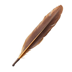 A single, long brown feather, detailed texture, isolated on black background