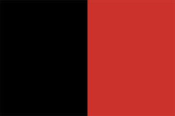 A vector illustration of the flag of Namur province, Belgium.
