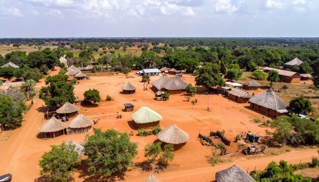 Mandinka Village Landscape with Traditional Farmhouse and Communal Area