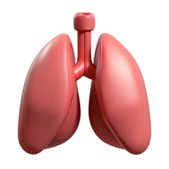Human lungs isolated on transparent background for medical and educational purposes