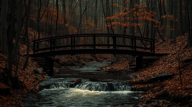 A wooden bridge spans a stream in an autumn forest landscape.