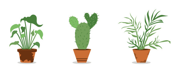 Set Hand drawn houseplant collection